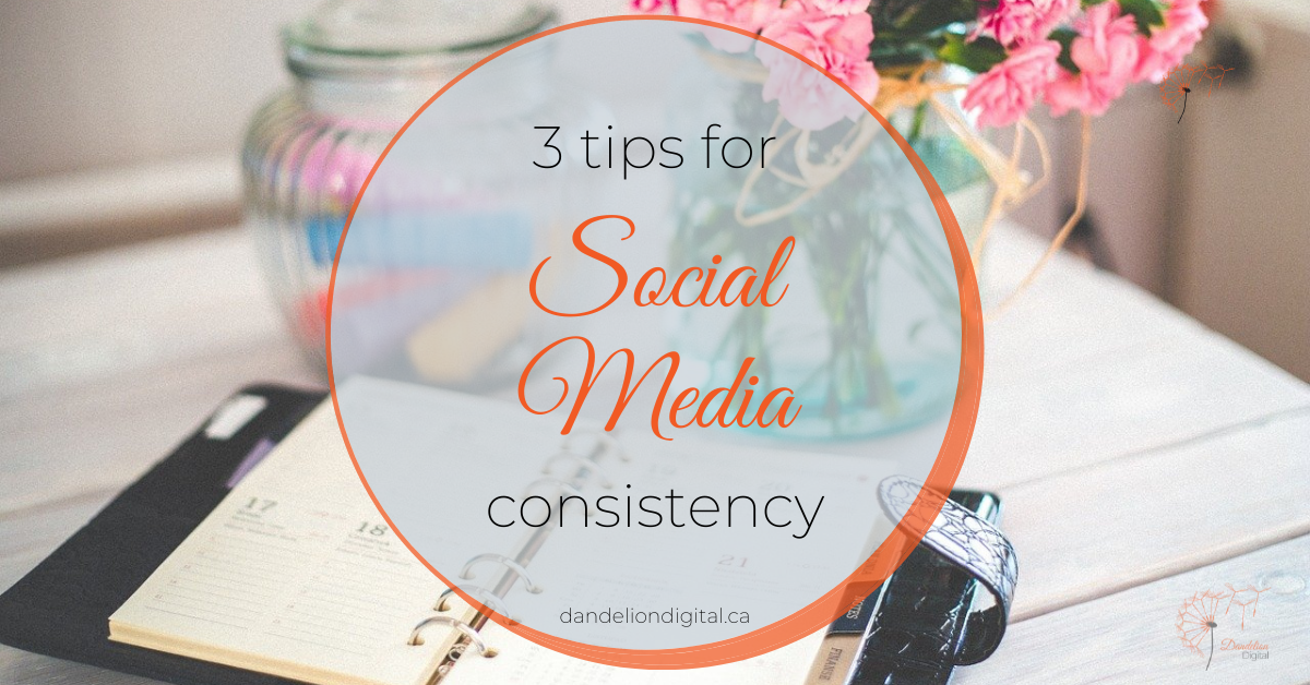 3 Tips for Social Media Consistency - Dandelion Digital